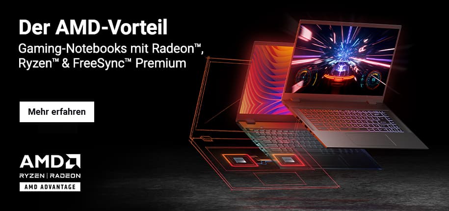 Zu den AMD-Produkten für Gaming